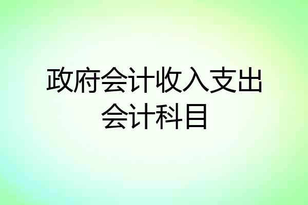 政府会计收入支出会计科目