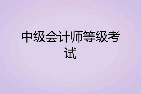 中级会计师等级考试