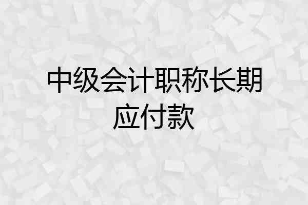 中级会计职称长期应付款