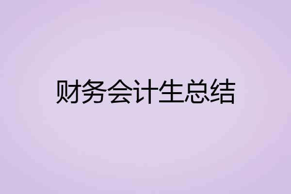 财务会计生总结