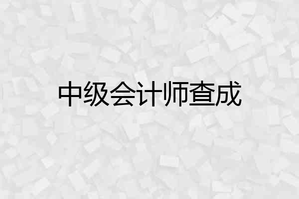 中级会计师查成