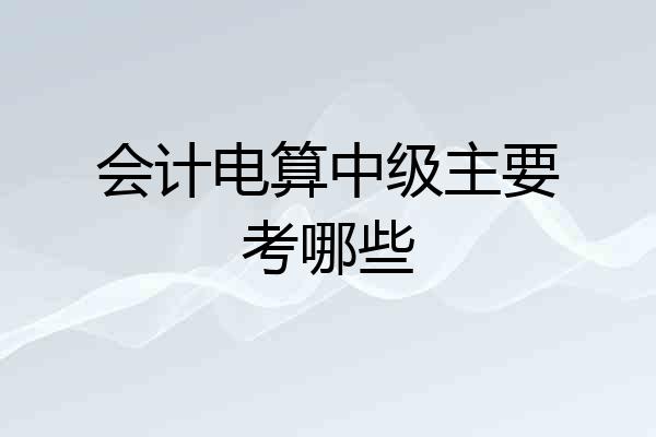 会计电算中级主要考哪些