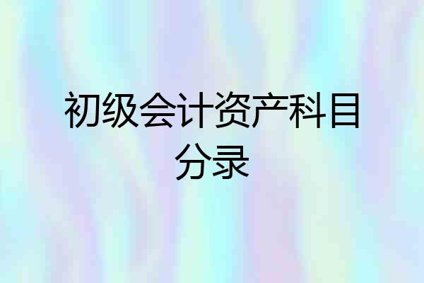 初级会计资产科目分录
