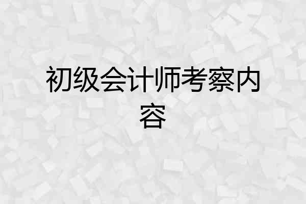 初级会计师考察内容