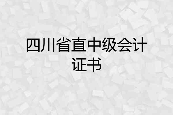 四川省直中级会计证书