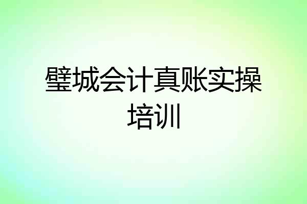 璧城会计真账实操培训