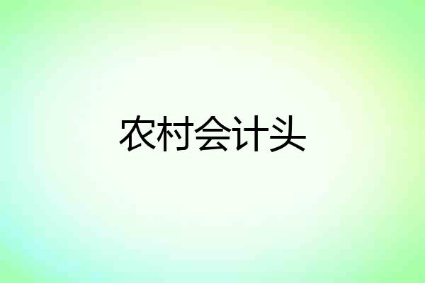 农村会计头