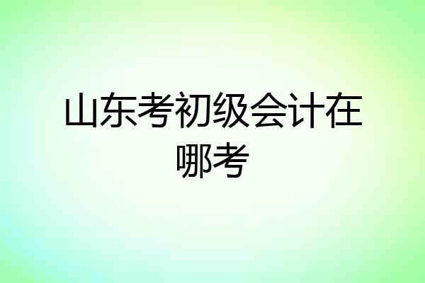 山东考初级会计在哪考
