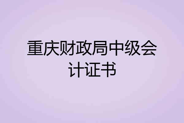重庆财政局中级会计证书