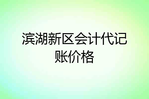 滨湖新区会计代记账价格