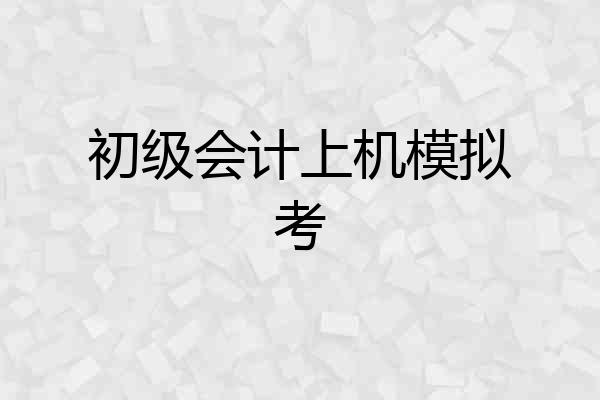 初级会计上机模拟考