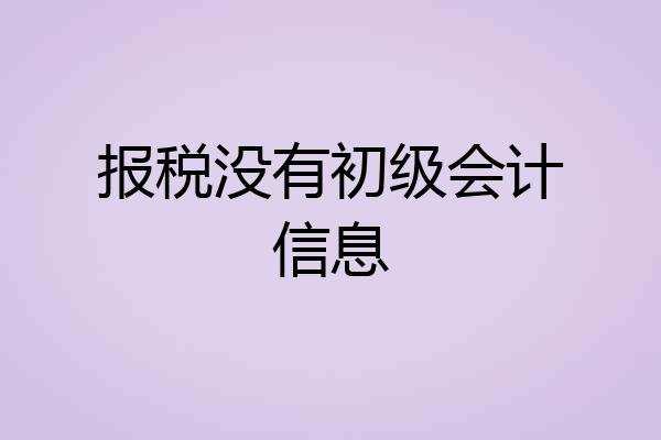 报税没有初级会计信息