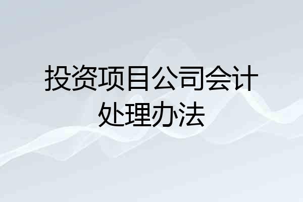 投资项目公司会计处理办法