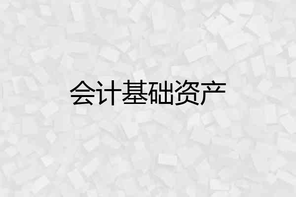 会计基础资产
