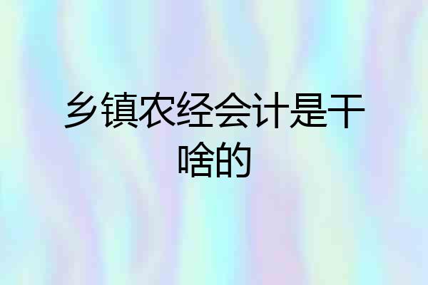 乡镇农经会计是干啥的