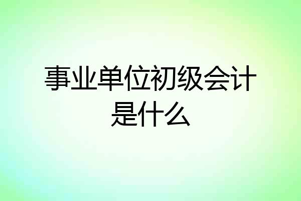 事业单位初级会计是什么