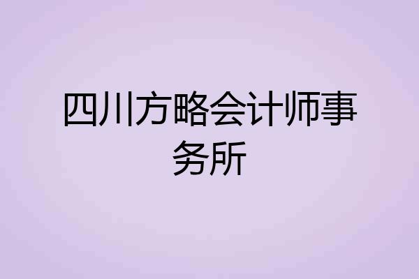 四川方略会计师事务所