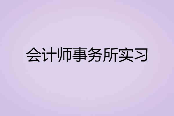 会计师事务所实习
