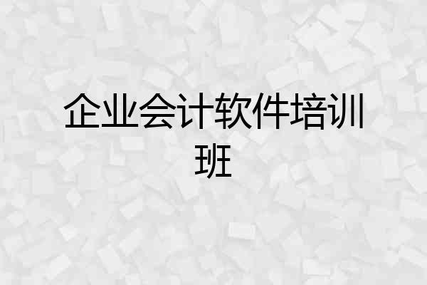 企业会计软件培训班