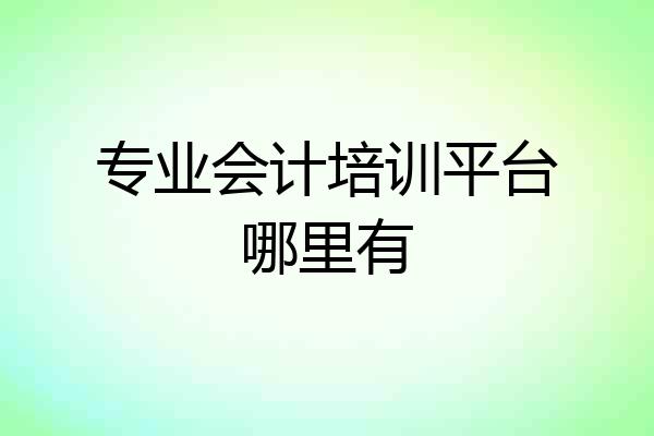 专业会计培训平台哪里有