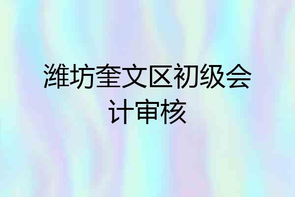 潍坊奎文区初级会计审核
