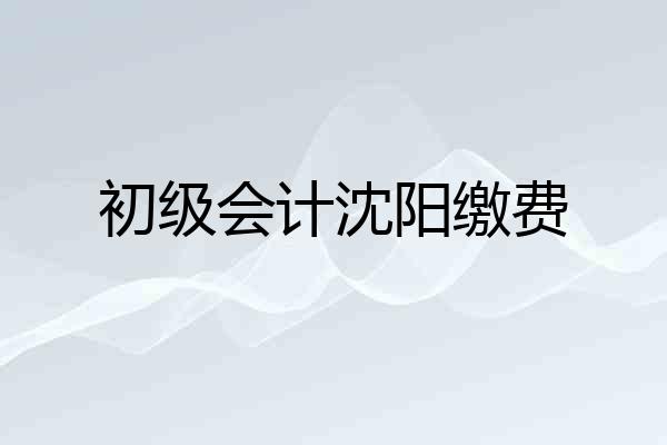 初级会计沈阳缴费