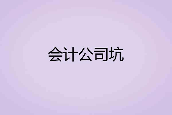 会计公司坑