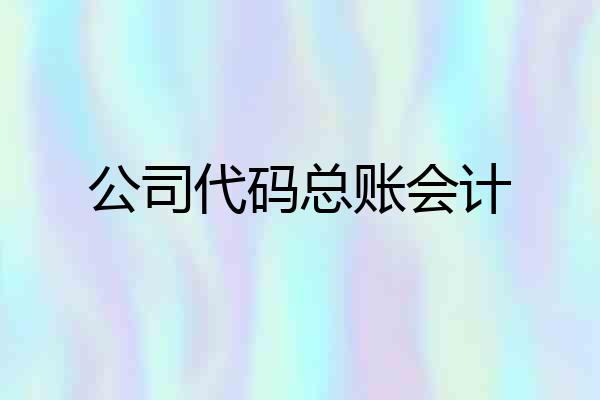 公司代码总账会计
