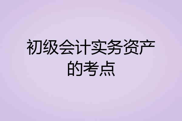 初级会计实务资产的考点