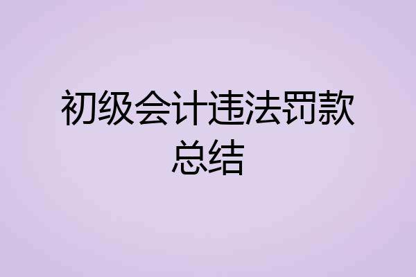 初级会计违法罚款总结