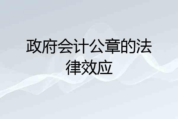 政府会计公章的法律效应