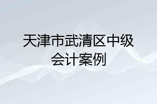 天津市武清区中级会计案例