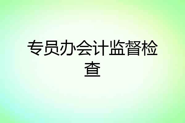 专员办会计监督检查