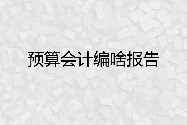 预算会计编啥报告