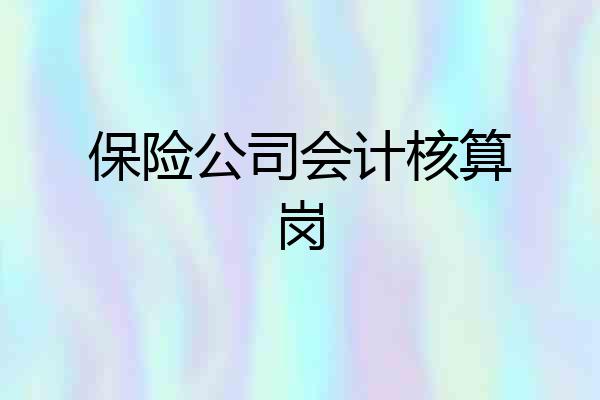 保险公司会计核算岗