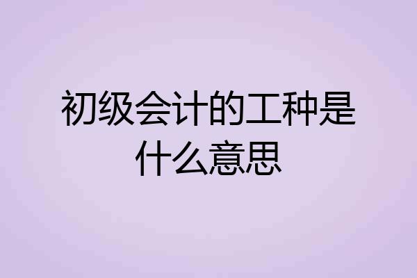 初级会计的工种是什么意思