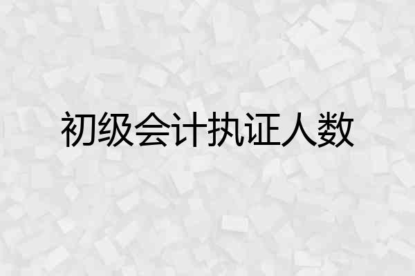 初级会计执证人数