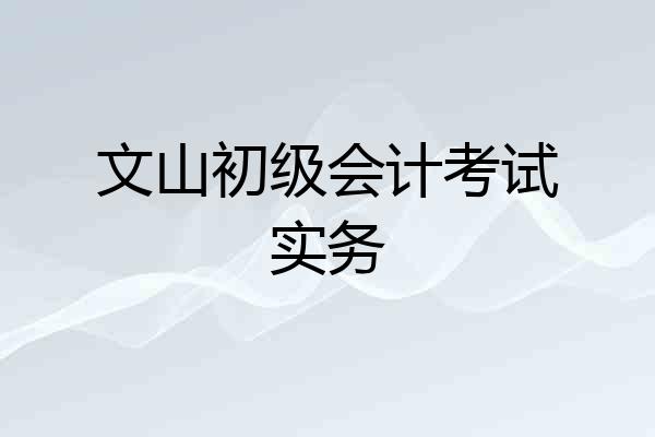 文山初级会计考试实务
