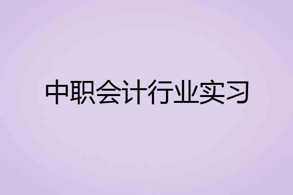 中职会计行业实习