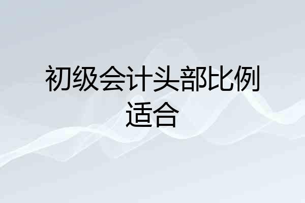 初级会计头部比例适合