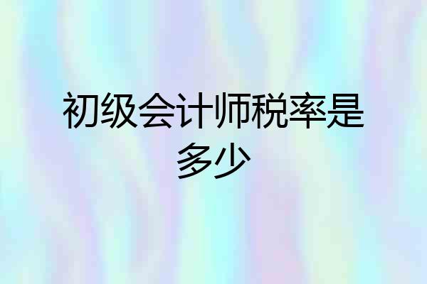初级会计师税率是多少