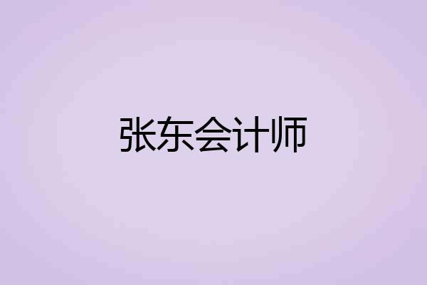 张东会计师