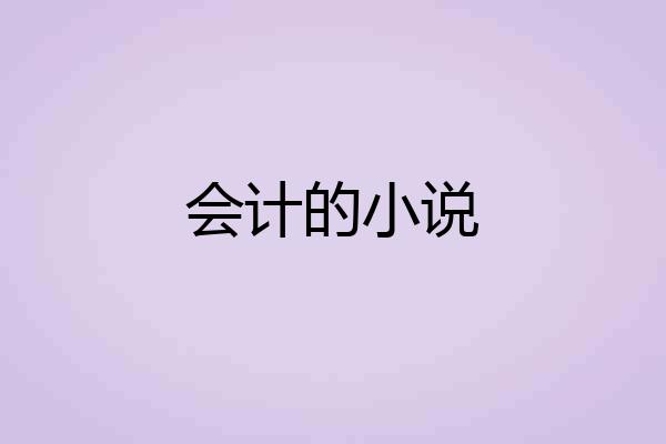 会计的小说