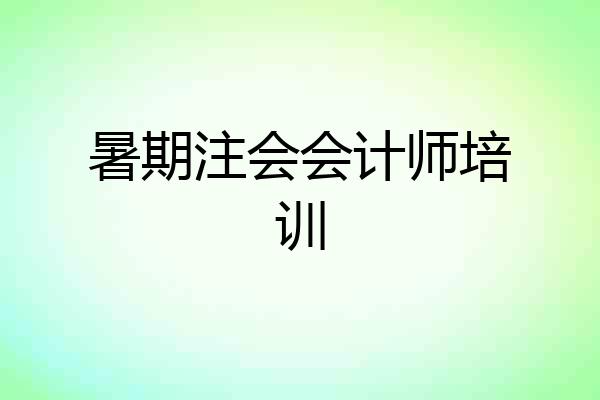 暑期注会会计师培训