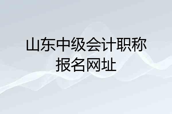 山东中级会计职称报名网址