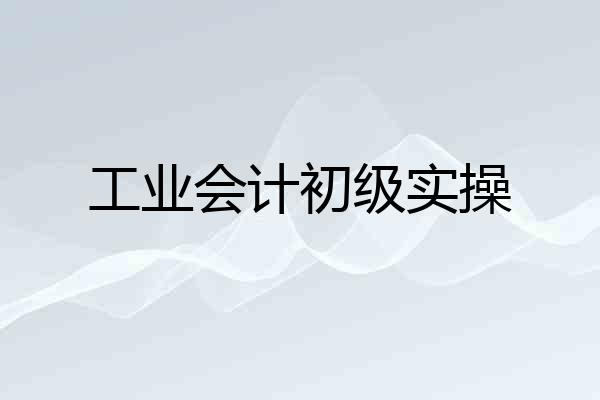 工业会计初级实操