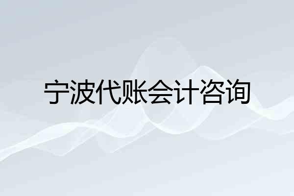 宁波代账会计咨询