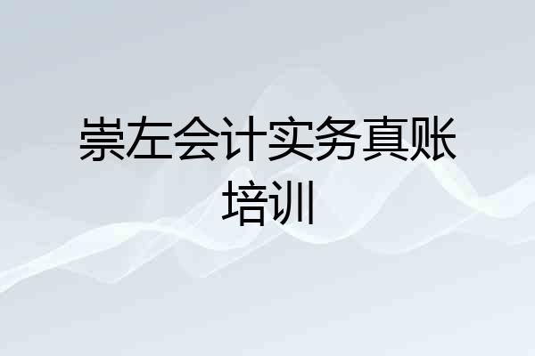 崇左会计实务真账培训