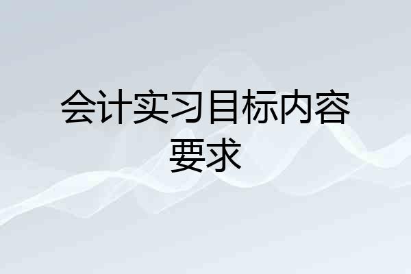 会计实习目标内容要求