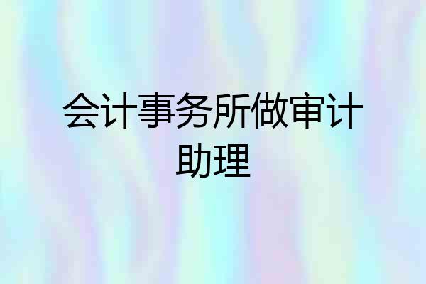 会计事务所做审计助理